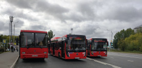 Ассоциация АТП РТ: с начала года перевозчики Казани вернули пассажирам более 500 вещей, которые они забыли в автобусах.